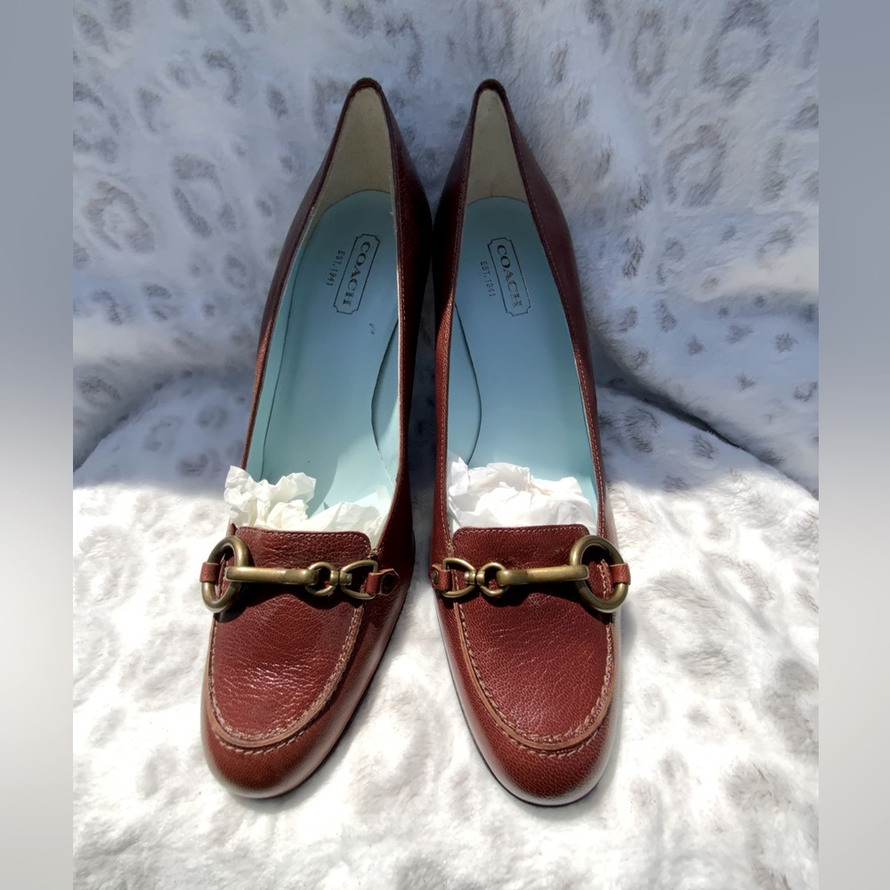 NWOB Rust Color Coach Pump.